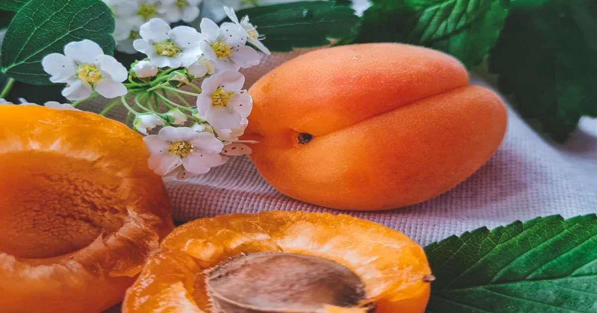 Fresh apricots representing apricot fruit health benefits and overall wellness linked to Apricot Health Benefits.