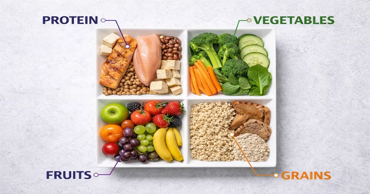 A plate showing portion distribution with vegetables, grains, protein, and fruits in clear sections