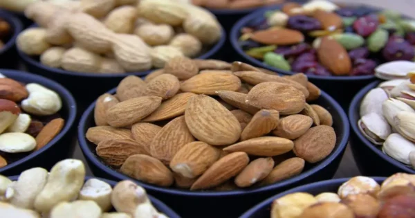 Small bowls of almonds, pecans, and pumpkin seeds showing energy-dense foods