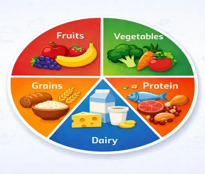 Food groups in nutrition diagram showing fruits vegetables grains protein and dairy categories