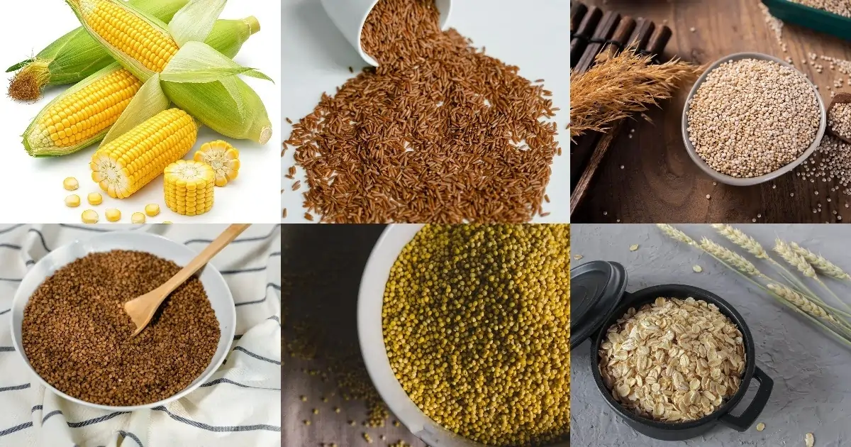 Whole grains showing maize, brown rice, quinoa, millet, oats, and buckwheat